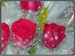 DSCN1876