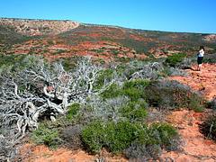 WA - Kalbarri 20081010 05
