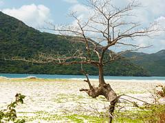 Southcoast of Con Dao (Con Dao, Vietnam 2016)