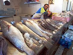 Fish Monger, Dakhla