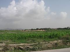 یوه زرغتی سیمه ده یوه زرغتی سیمه ده