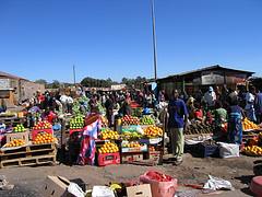 IMG_3106