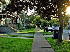my neighborhood