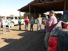 Week 7, Shock Dairy, Charlo, MT