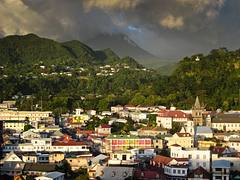 Roseau and the Rainforest