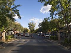 Dubbo