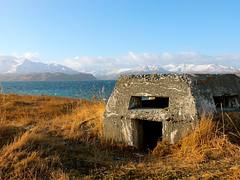 World War II Bunker, Dutch Harbor