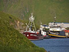 Dutch Harbor Pollock Fishing Vessels