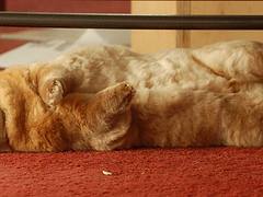 Derby has flopped Derby has flopped