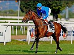 Dettori and Mastery GB won the Italian Derby Better Dettori and Mastery GB won the Italian Derby Better