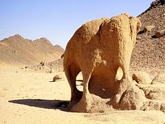 Algerien_5_0007